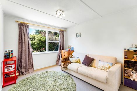 Photo of property in 21 Harwood Street, Harwood, Dunedin, 9077