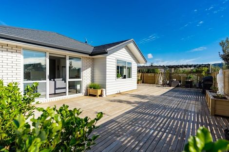 Photo of property in 38 Jack Boyd Drive, Mangawhai Heads, Kaiwaka, 0573