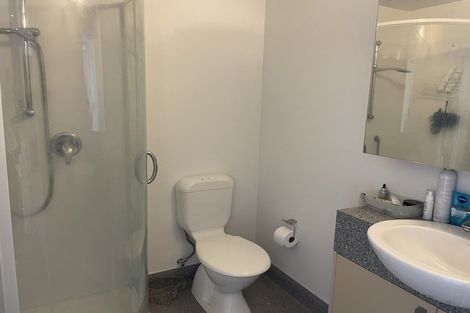 Photo of property in Dual Apartments, 406/142 Vivian Street, Te Aro, Wellington, 6011