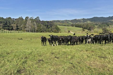 Photo of property in 81 Edgerley Road, Kaipara Flats, Warkworth, 0981