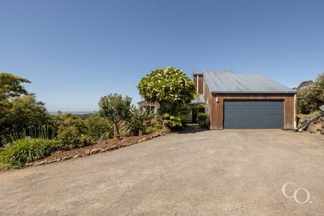 Photo of property in 499 Wainui Road South, Whakamarama, Tauranga, 3180