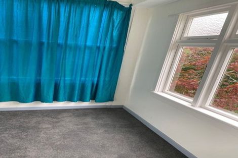 Photo of property in 41a Garfield Avenue, Roslyn, Dunedin, 9010