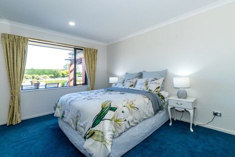 Photo of property in 170 Tinwald Westerfield Mayfield Road, Tinwald, Ashburton, 7771