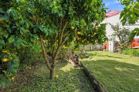 Photo of property in 25 Puriri Street, Helensville, 0800