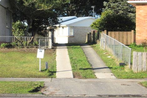 Photo of property in 73 Winstone Avenue, Chartwell, Hamilton, 3210