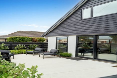 Photo of property in 165 Macandrew Road, South Dunedin, Dunedin, 9012