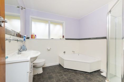 Photo of property in 85 Stortford Street, Ashhurst, 4810