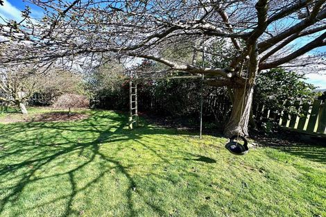 Photo of property in 14 Lowestoft Street, Balclutha, 9230