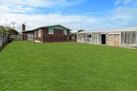 Photo of property in 96 Stortford Street, Ashhurst, 4810