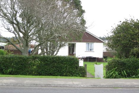 Photo of property in 51 Cracroft Street, Waitara, 4320