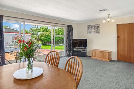 Photo of property in 134 Stanford Street North, Ashhurst, 4810