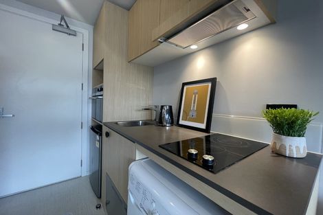 Photo of property in Vedado Apartments, 208/41 Hopper Street, Mount Cook, Wellington, 6011