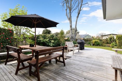 Photo of property in 46 Wymer Terrace, Chartwell, Hamilton, 3210