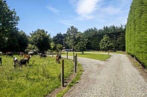 Photo of property in 255 No 1 Line, Tauwharenikau, Tauherenikau, 5771