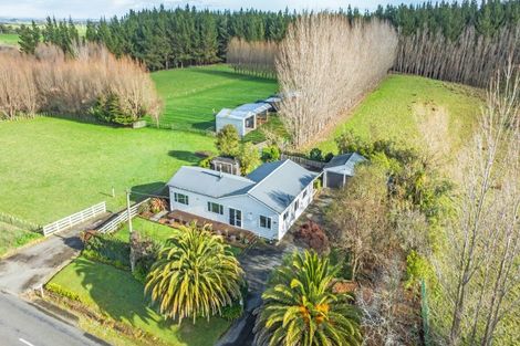 Photo of property in 334 Mount Biggs Road, Halcombe, Feilding, 4779