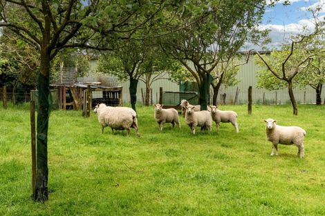 Photo of property in 43 Goodall Road, Whakamarama, Tauranga, 3179