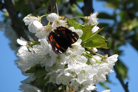 Photo of property in 8 Terrace Street, Matawai, 4075