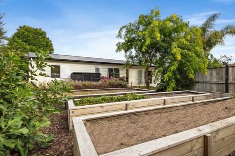 Photo of property in 26c Old Waipu Road, Mangawhai, 0505