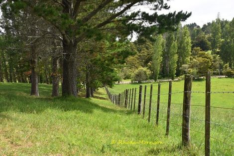 Photo of property in 69 Matakohe Wharf Road, Matakohe, 0593