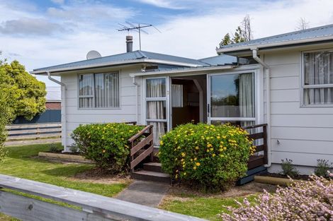 Photo of property in 21 Waterhouse Street, Masterton, 5810