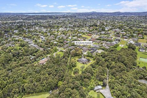 Photo of property in 45 Autumn Avenue, Glen Eden, Auckland, 0602
