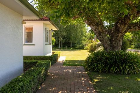 Photo of property in 309 Plummers Point Road, Whakamarama, Tauranga, 3172