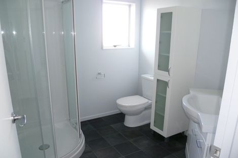 Photo of property in 197 Ferguson Street, West End, Palmerston North, 4412