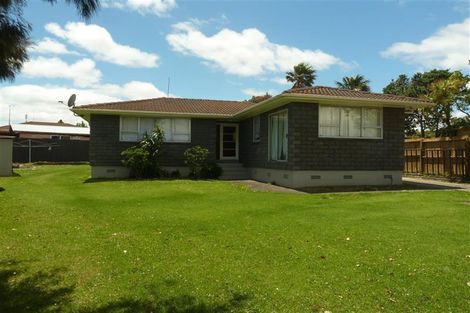 Photo of property in 24 Zelda Avenue, Clover Park, Auckland, 2023