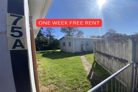 Photo of property in 75 Bruce Avenue, Glenview, Hamilton, 3206