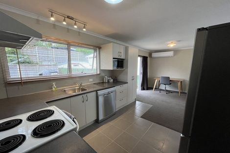 Photo of property in 50e Bank Street, North East Valley, Dunedin, 9010