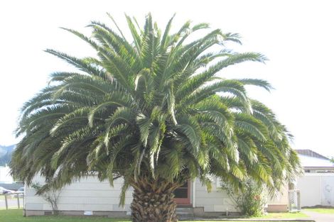 Photo of property in 10 Melody Lane, Kaitaia, 0410