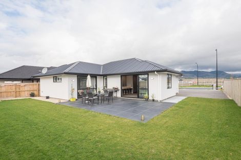 Photo of property in 60 Berryfield Drive, Richmond, 7020