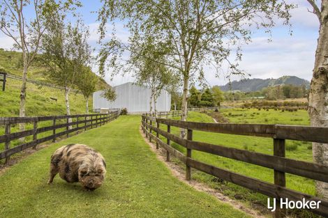 Photo of property in 133 Koutunui Road, Athenree, Katikati, 3177