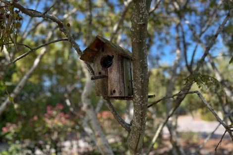 Photo of property in 19 Scott Street, Tuatapere, 9620