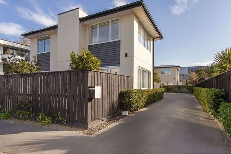 Photo of property in 5 Cheltenham Street, Merivale, Christchurch, 8014