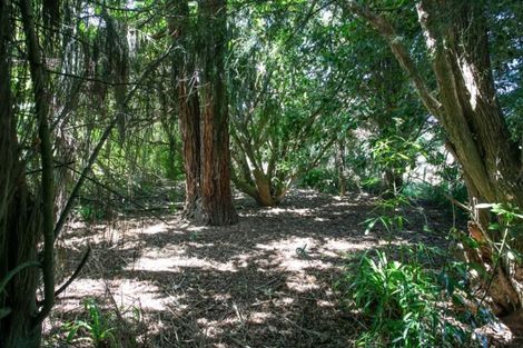 Photo of property in 328 Grice Road, Rotoorangi, Cambridge, 3495