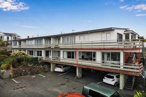 Photo of property in 19a Sheen Street, Roslyn, Dunedin, 9010