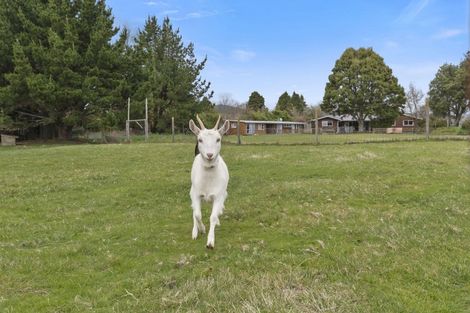 Photo of property in 30 Lee Road, Hannahs Bay, Rotorua, 3010