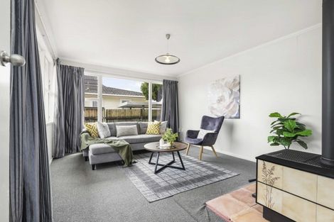 Photo of property in 132 Fairview Street, Chartwell, Hamilton, 3210