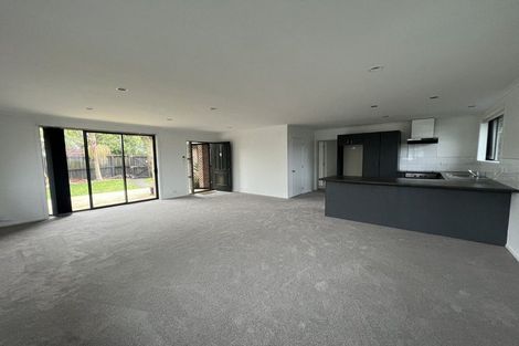Photo of property in 20 Richardson Avenue, Pukekohe, 2120