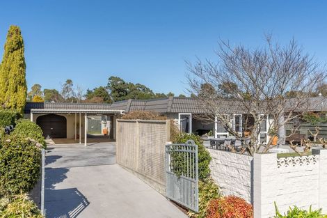 Photo of property in 23 Chequers Avenue, Chartwell, Hamilton, 3210