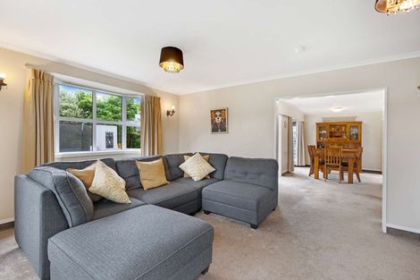 Photo of property in 52 John F Kennedy Drive, Milson, Palmerston North, 4414