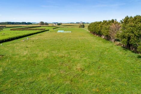 Photo of property in 105 Mawhitiwhiti Road, Normanby, Hawera, 4675