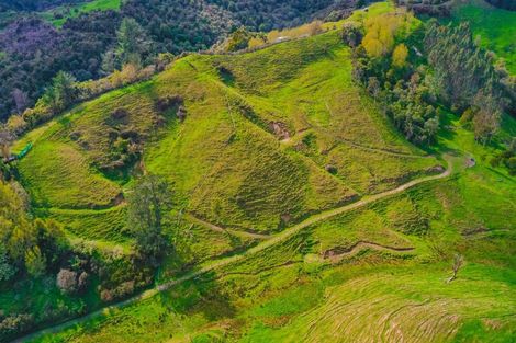 Photo of property in 2171 Parikanapa Road, Tiniroto, Manutuke, 4078