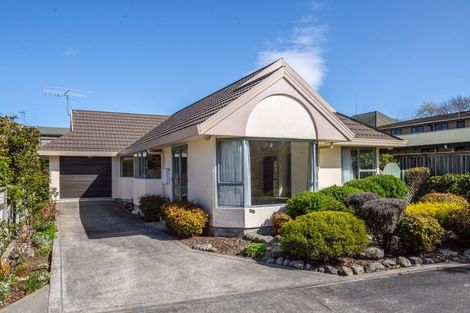 Photo of property in 53c Renall Street, Masterton, 5810