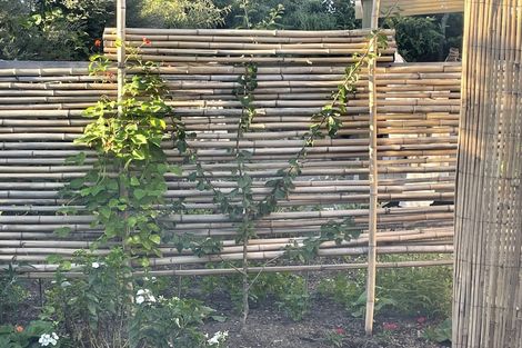 Photo of property in 89 Greenwood Street, Motueka, 7120