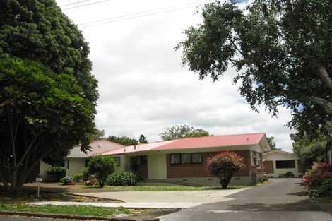 Photo of property in 17 Mcnally Road, Pukekohe, 2120