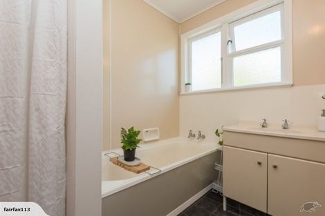 Photo of property in 113 Fairfax Street, Murchison, 7007