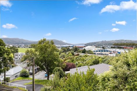 Photo of property in 73b Grosvenor Street, Kensington, Dunedin, 9011