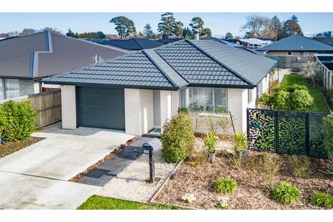 Photo of property in 122 Chinnerys Road, Woodend, 7610